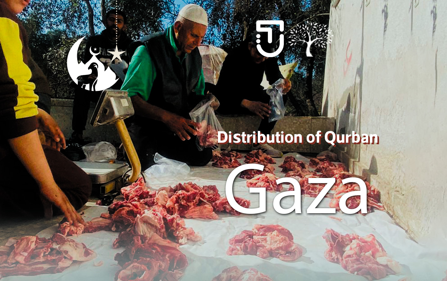 The Qurban Campaign in Gaza.. Share with them the joy of Eid