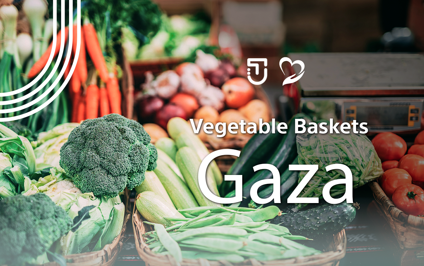 Distributing Vegetable Baskets to displaced people in Gaza
